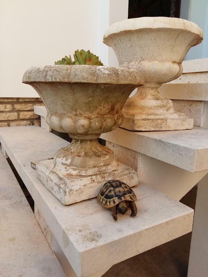 Villa Feodora Biograd Na Moru Dış mekan fotoğraf